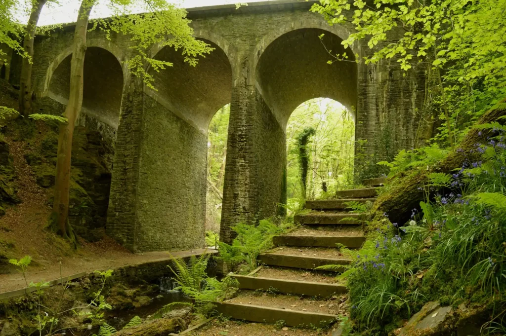 Aqueduct in a green forest